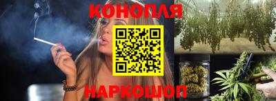 шишки Новозыбков