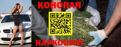 гидра Обнинск
